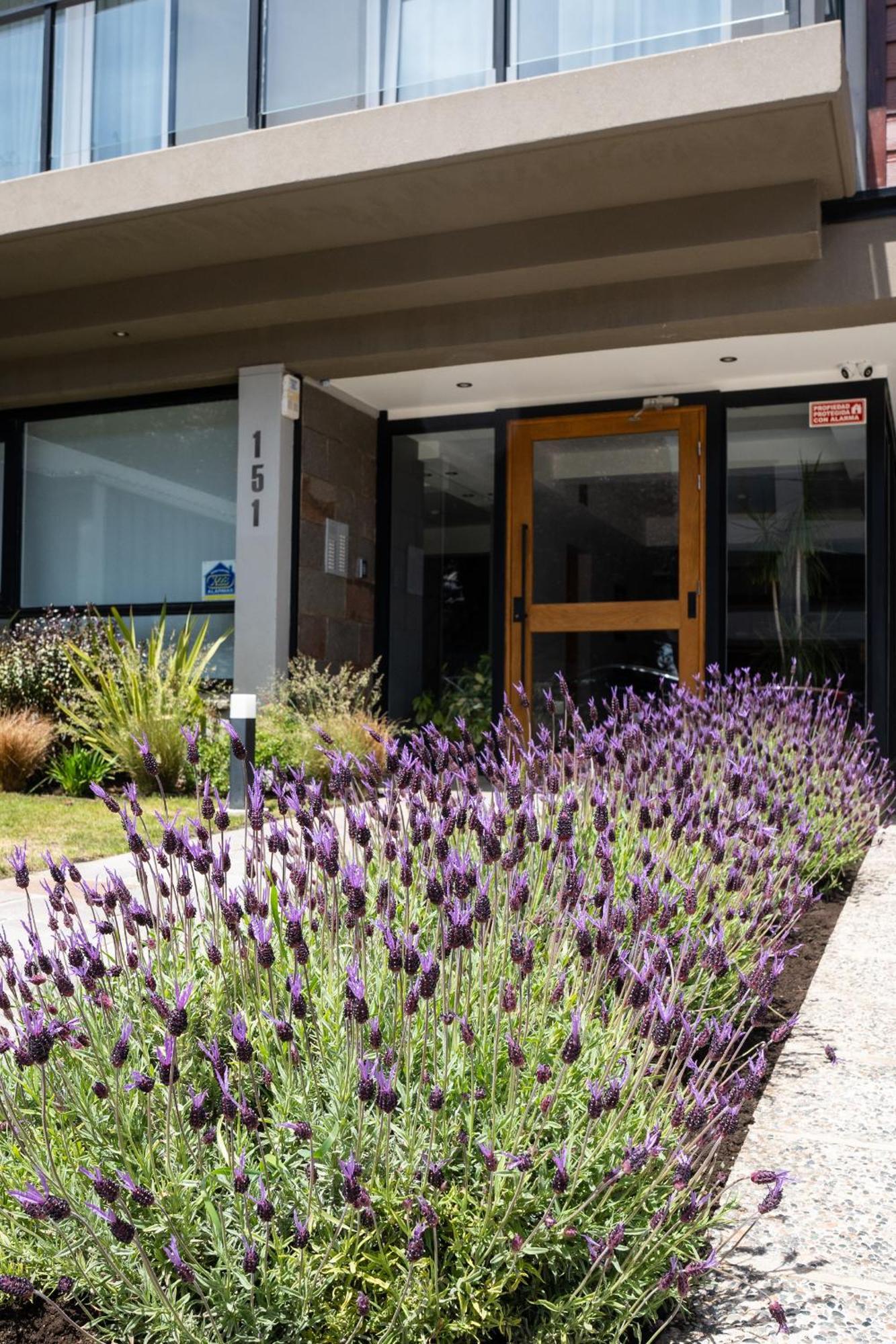 Portales De La Patagonia Apartments Σαν Κάρλος ντε Μπαριλότσε Εξωτερικό φωτογραφία
