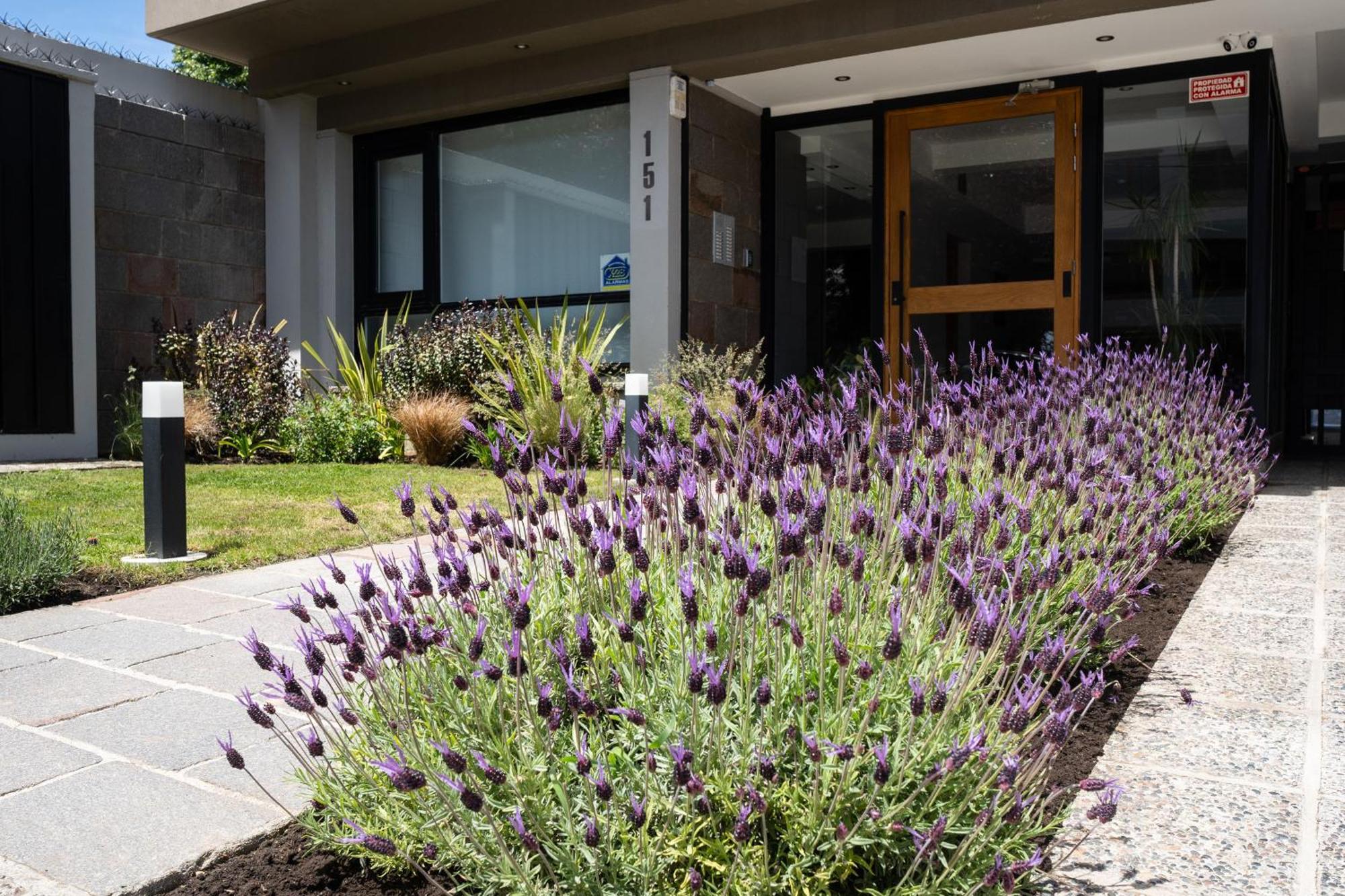 Portales De La Patagonia Apartments Σαν Κάρλος ντε Μπαριλότσε Εξωτερικό φωτογραφία